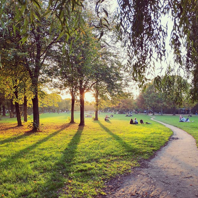 Park bei Sonnenuntergang