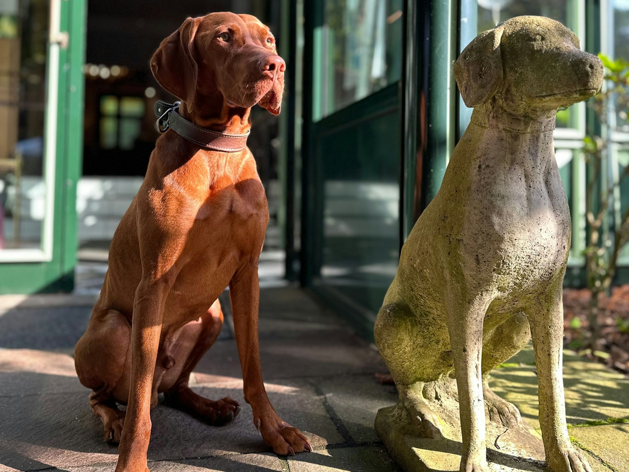 Ein Hund steht vor einer Steinstatue derselben Rasse und nimmt die gleiche Pose ein.