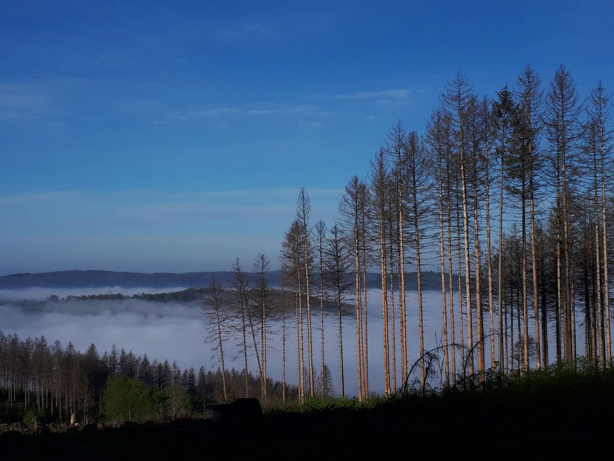 Das Tal in Osberghausen liegt in morgendlichem Nebel.