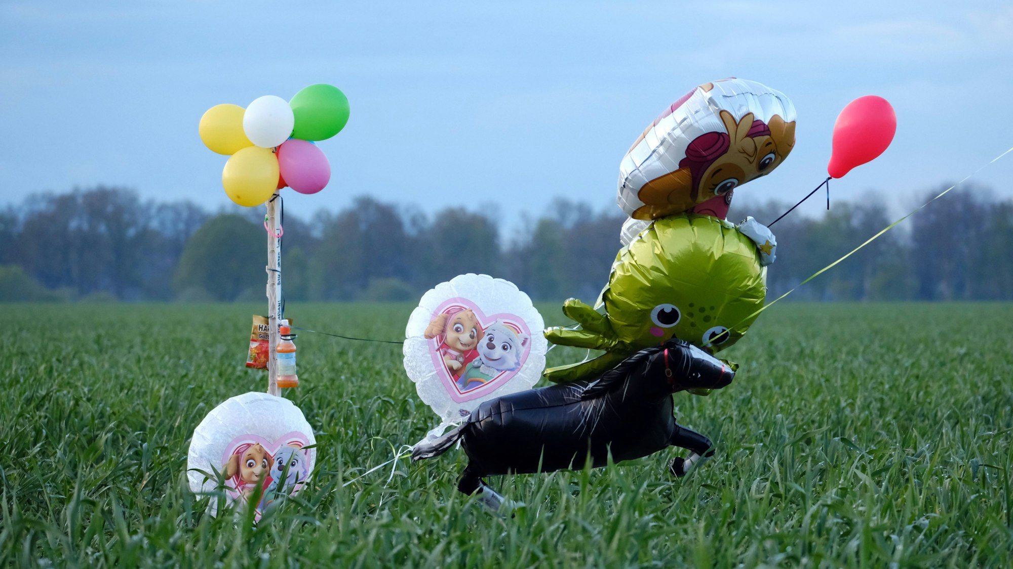 Ballons und Süßigkeiten stehen auf einem Feld bei Bremervörde. Sie sollen den vermissten Jungen Arian ansprechen.