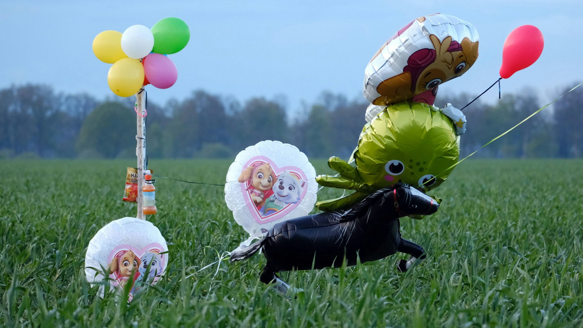 24.04.2024, Niedersachsen, Bremervörde: Ballons und Süßigkeiten stehen auf einem Feld bei Bremervörde. Von einem vermissten sechs Jahre alten Jungen aus dem niedersächsischen Bremervörde fehlt noch immer jede Spur. Foto: Markus Hibbeler/dpa +++ dpa-Bildfunk +++