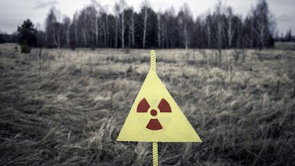 Ein Waldstück in der kontaminierten Zone zwischen Pripjat und Tschernobyl in der Ukraine. Am 26. April 1986 ereignete sich in dem nahe gelegenen AKW ein katastrophaler Unfall, dessen Folgen bis heute spürbar sind. (Archivbild)