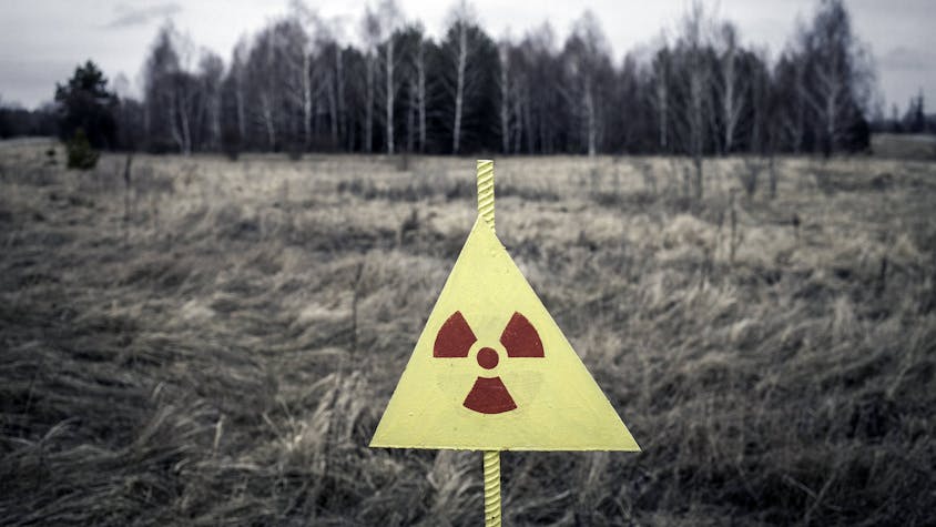 Ein Waldstück in der kontaminierten Zone zwischen Pripjat und Tschernobyl in der Ukraine. Am 26. April 1986 ereignete sich in dem nahe gelegenen AKW ein katastrophaler Unfall, dessen Folgen bis heute spürbar sind. (Archivbild)