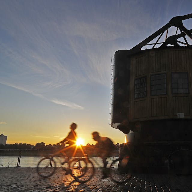 Radfahrer fahren in der Morgensonne am Rhein entlang
