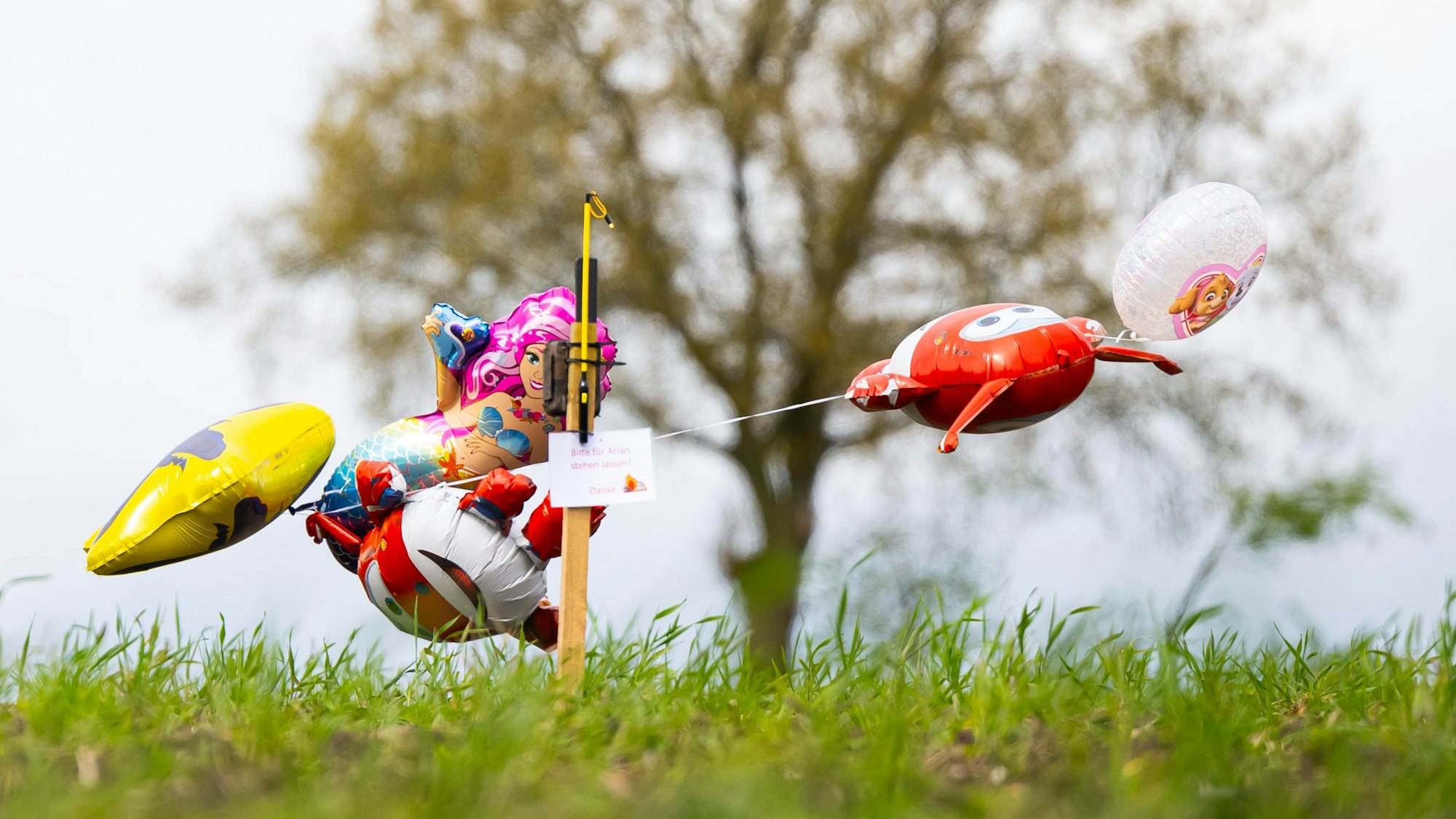 Bei der Suche nach dem vermissten Arian setzt die Polizei auf unkonventionelle Methoden. Schokolade und Luftballons sollen den autistischen Jungen anlocken.