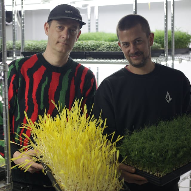 Zwei Männer halten Paletten mit Pflanzen.