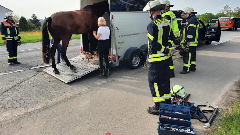 Ein Pferd war in seinem Autohänger nach einem Bremsmanöver ausgerutscht.