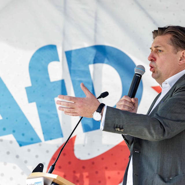 Maximilian Krah auf einer Bühne der Kundgebung in Dresden. Er hält ein Mikrofon an seinen Mund und gestikuliert mit der linken Hand. Im Hintergrund eine Flagge mit AFD-Logo.&nbsp;
