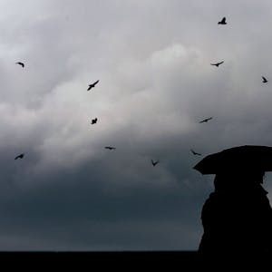ARCHIV - 23.06.2011, Nordrhein-Westfalen, Köln: Passanten gehen mit Regenschirmen durch eine Stadt. (zu dpa: «Regen und Wolken zum Ende der Woche in Hessen») Foto: Oliver Berg/dpa +++ dpa-Bildfunk +++