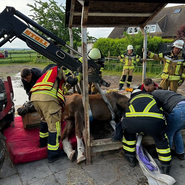 Mehrere Einsatzkräfte sind dabei, das auf der Seite liegende Pferd zu retten. Auch ein Traktor kam zum Einsatz.