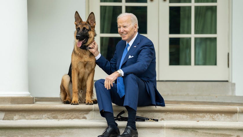 US-Präsident Joe Biden mit seinem Schäferhund Commander. Der Hund lebt nach Attacken auf Sicherheitspersonal nicht mehr im Weißen Haus. (Archivbild)
