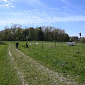 Ein Teil der Freifläche am Kirchweg wird bebaut, der größte Teil bleibt als grünes Gelände erhalten.