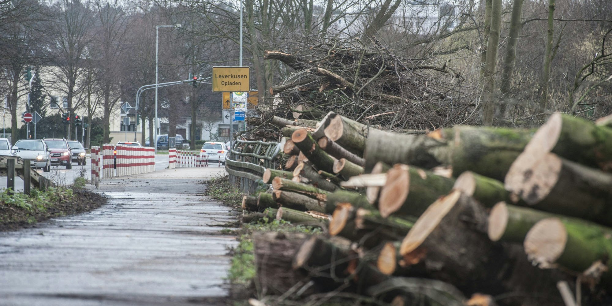 Massenhafte Baumfällungen im Auftrag des Landesbetriebs Straßen NRW (hier in Opladen) stoßen auf heftige Kritik.