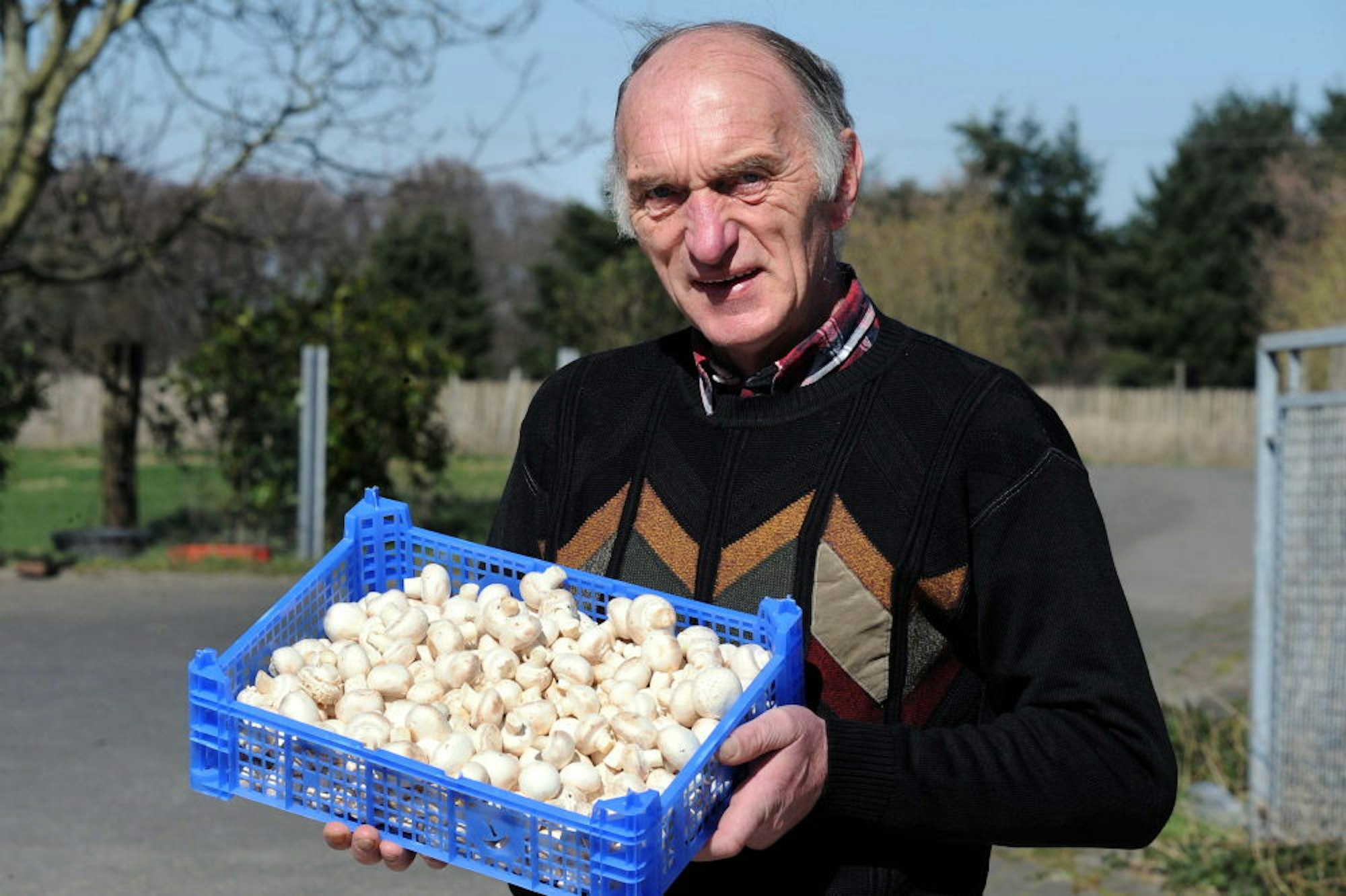 Pilzzüchter Peter Marseille verkauft seine Ware direkt auf seinem Hof in Bergerhof.