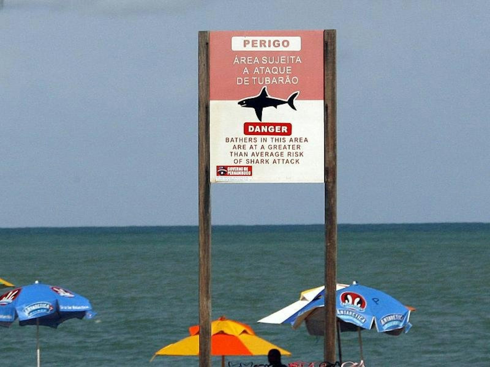 Achtung, Hai: Am Strand von Recife in Brasilien warnt ein Schild vor Angriffen.