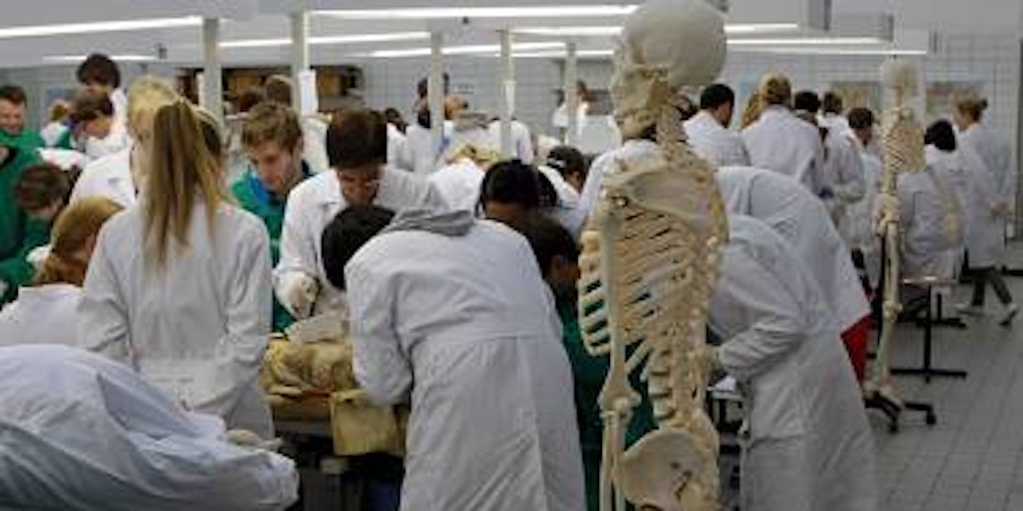 Studenten bei der Arbeit an den Leichen in einem Präparierkurs am Anatomischen Institut der Universität.(Bild: Grönert)