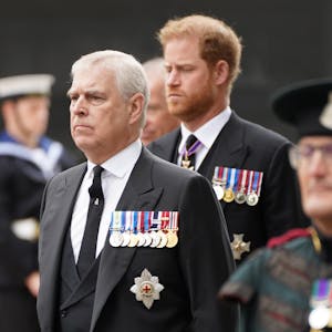 Prinz Andrew und Prinz Harry mit vielen Orden auf der Brust.&nbsp;