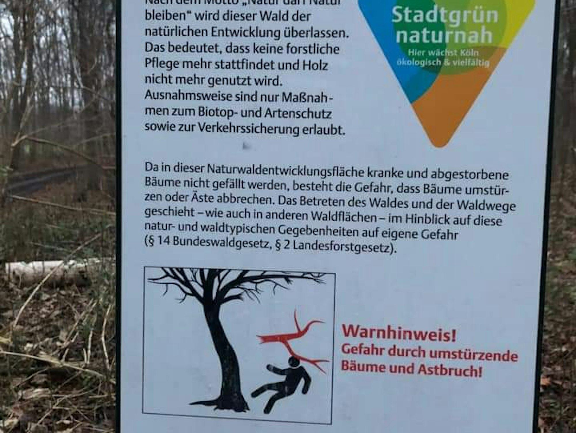 Schild Naturwald im NSG 1-2021