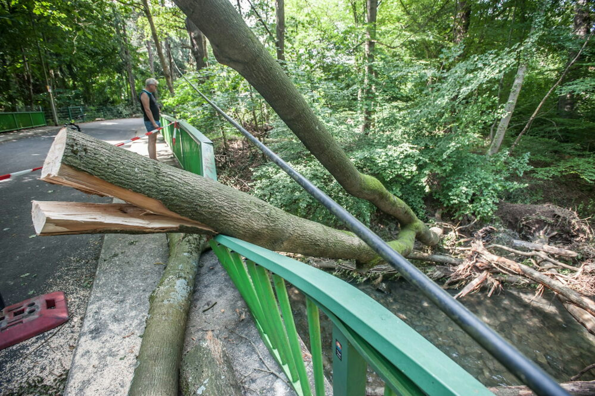Von den Fluten der Dhünn mitgerissene Bäume haben der ohnehin maroden Brücke am Hammerweg weiter schwer zugesetzt.