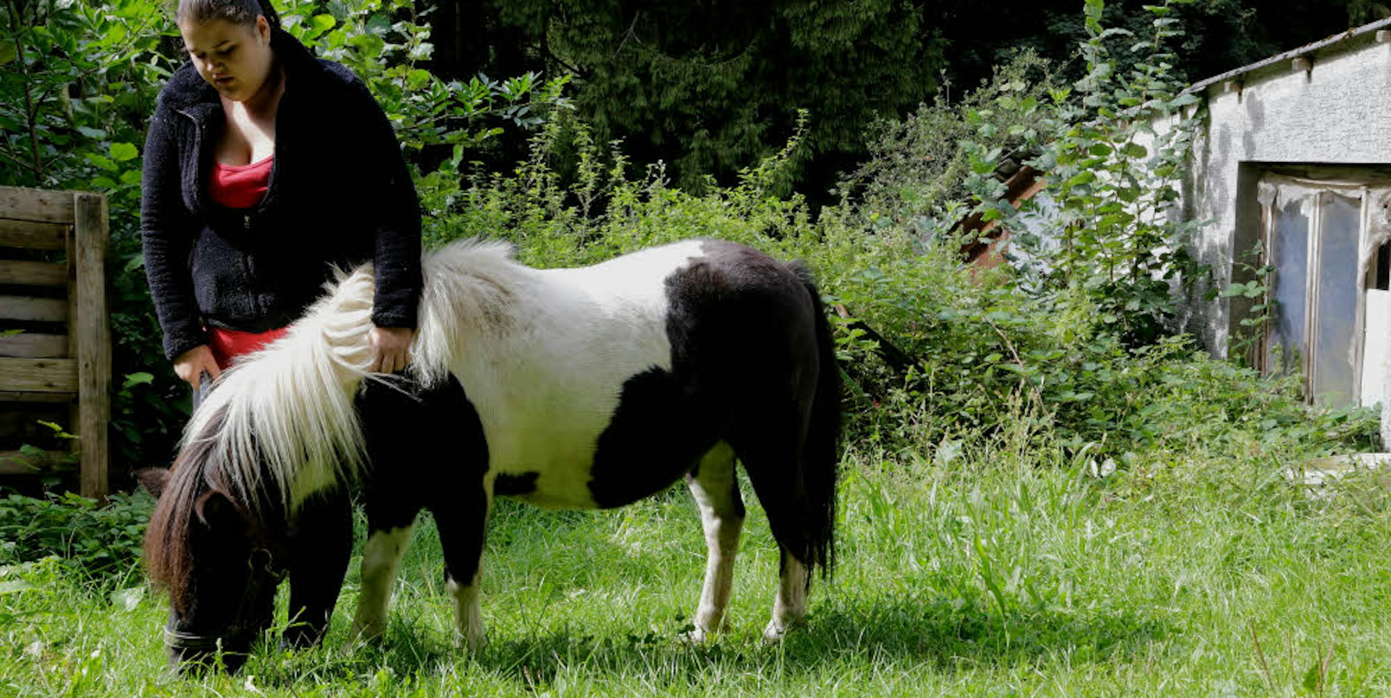 Wie viele Kinder und Jugendliche hat auch die 20-jährige Johanna die Patenschaft für ein Pony übernommen.