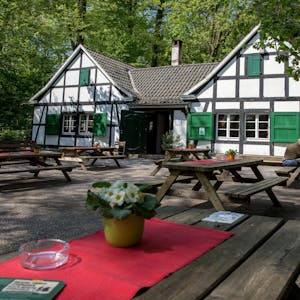 Waldhaus Römer LEV1