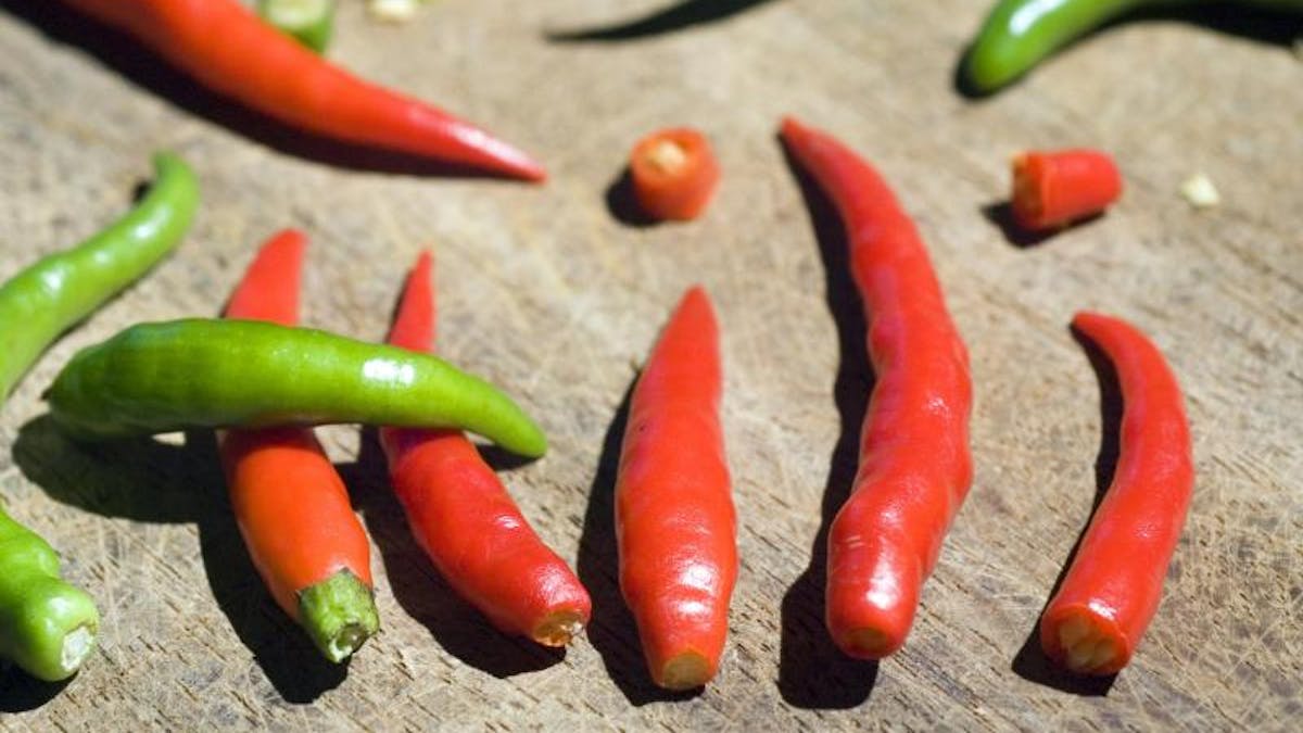 Scharf und gesund: Chilis enthalten viel Vitamin C und regen die Durchblutung der Schleimhäute an.