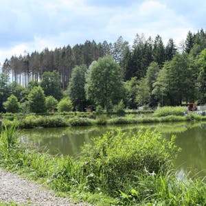 Der Angelpark im Alpetal bietet Idylle und gesicherten Fangerfolg.