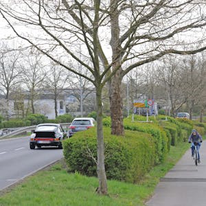 LE_radweg-borsigstrasse
