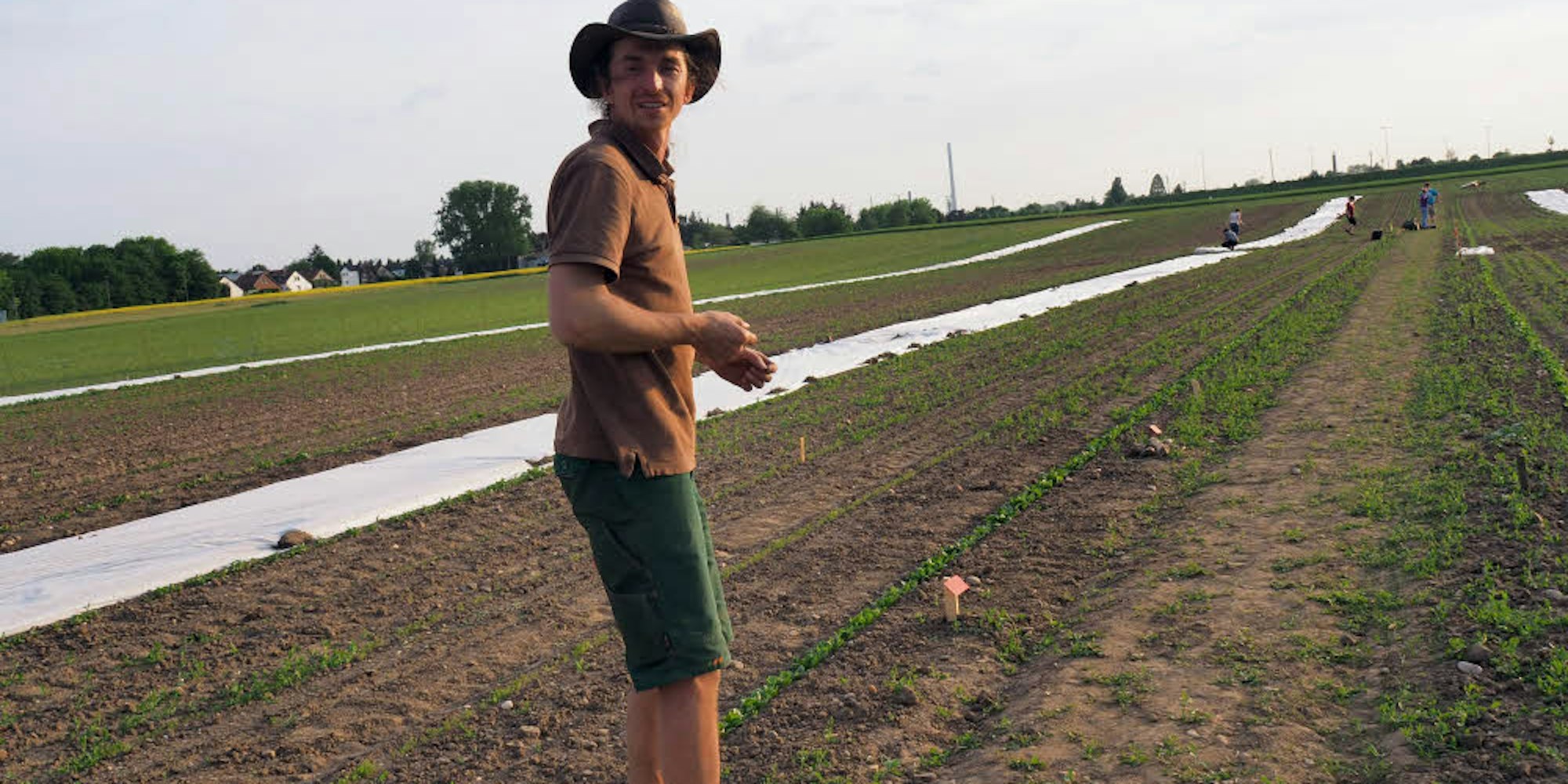 Der Spinat ist schon gut gewachsen, stellt der Öko-Landwirt Eugeny Ivanov zufrieden fest.