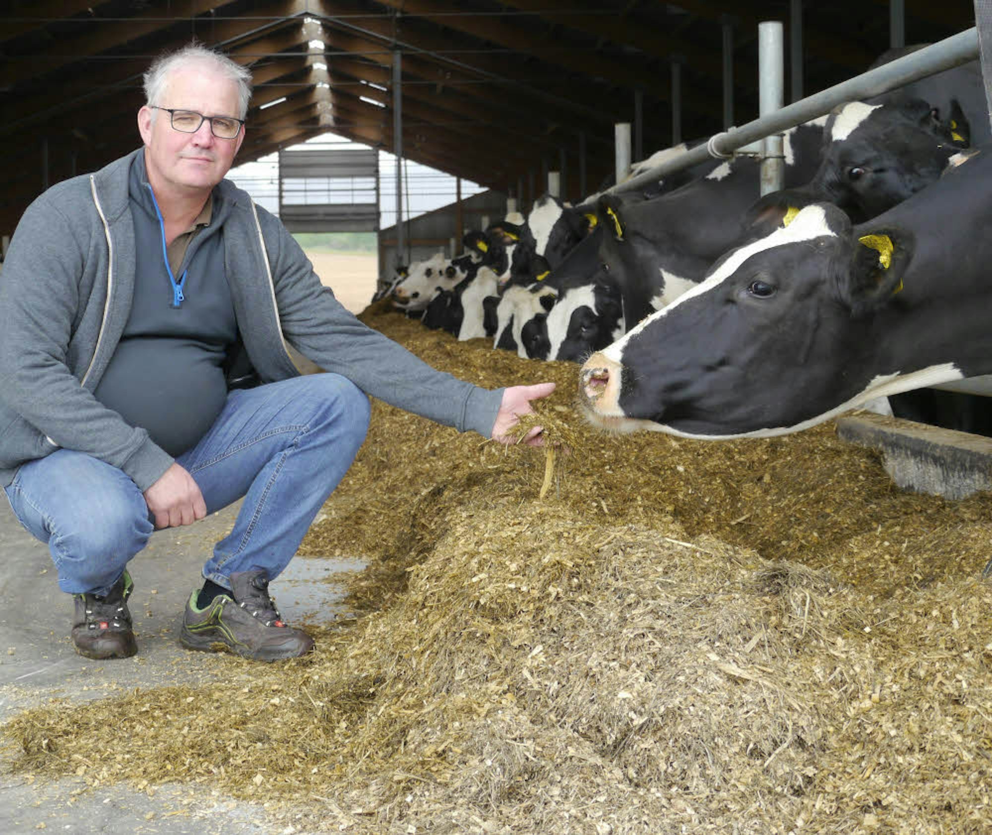 600 Kühe zu füttern hat Landwirt Helmut Dahmen. Dazu muss er die Silos nach der Dürre 2018 wieder füllen.