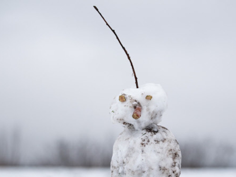 Ein Schneemann hat als Haare einen Ast auf dem Kopf.