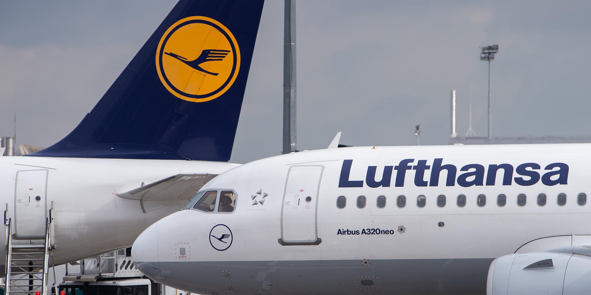 Lufthansa dpa neu
