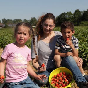 Erdbeeren selbst ernten und gleich probieren, das hat auch Ebru Erdek und ihren beiden Kindern Melis und Kuzey großen Spaß gemacht.
