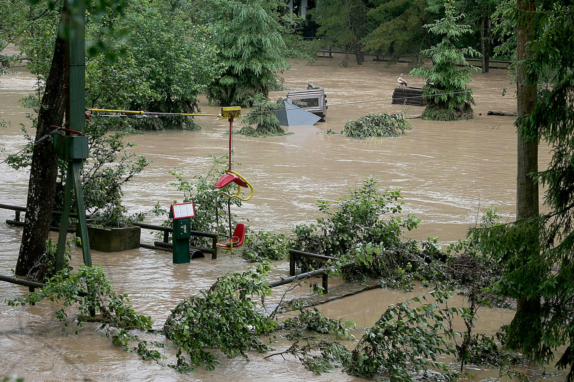 Eifel-Zoo_Überschwemmung_030519