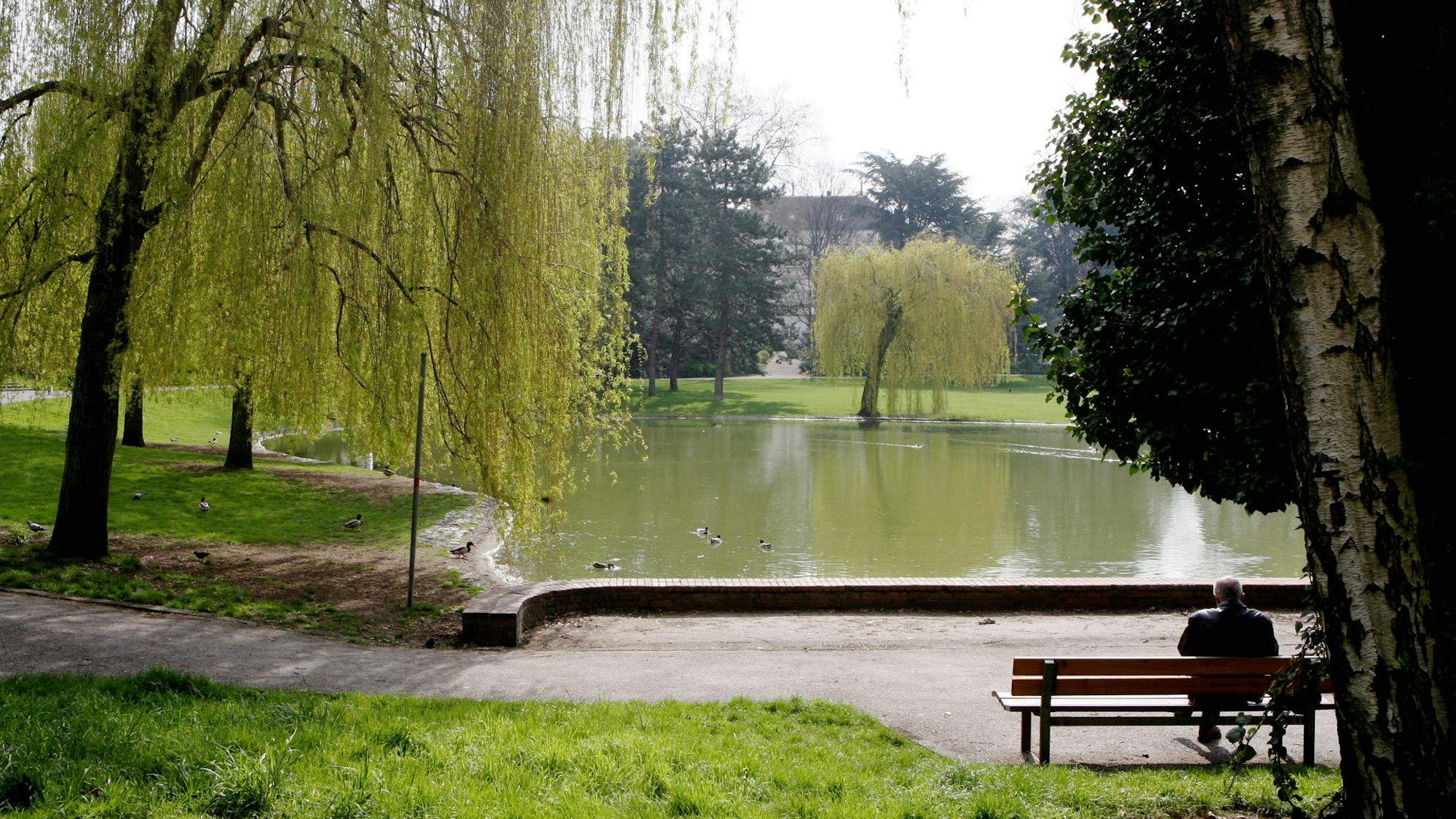 Mann sitzt auf einer Bank vor einem Teich