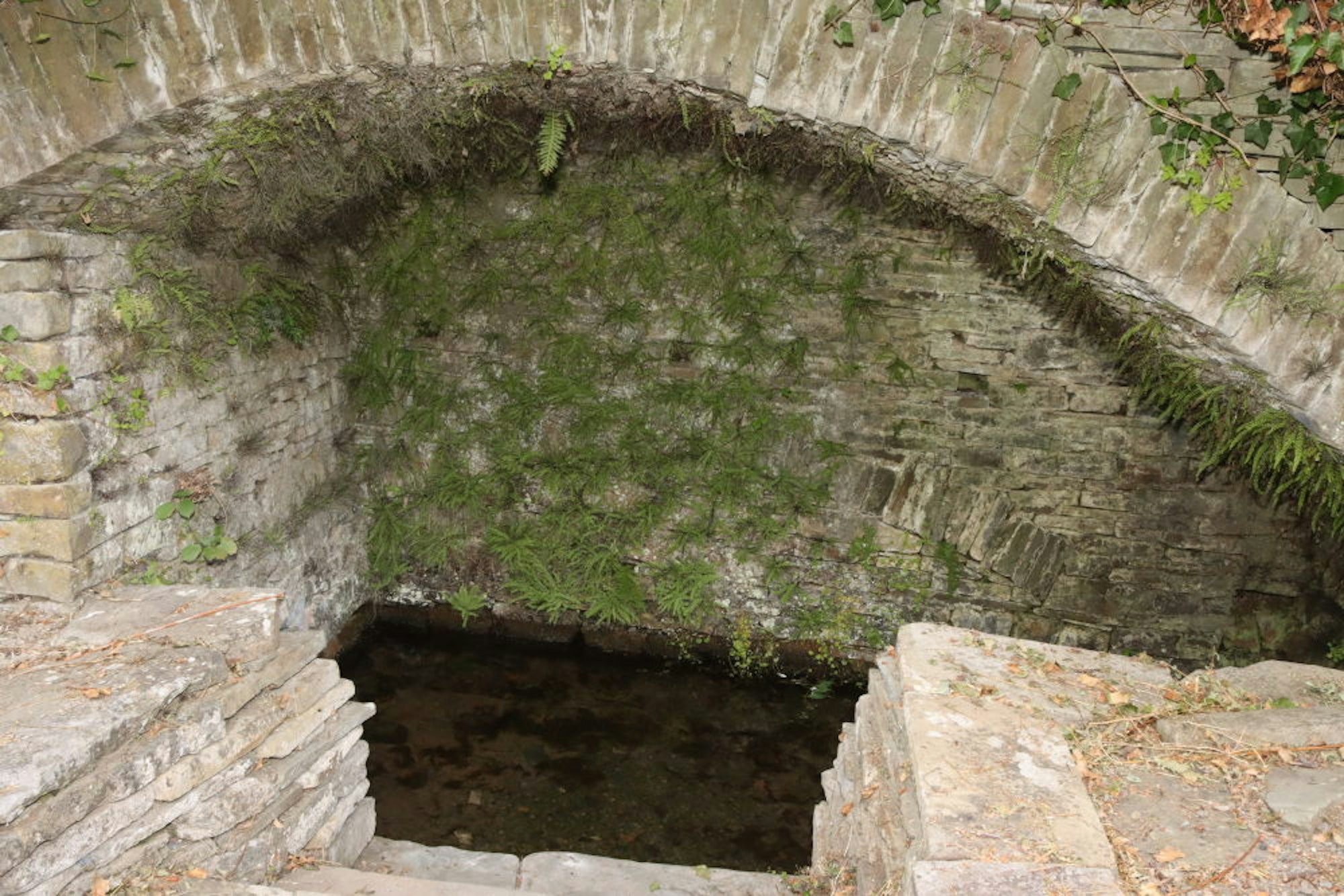 Die Burg entstand an einer Quelle, deren Wasser in der Gewölbegrotte zutage tritt.