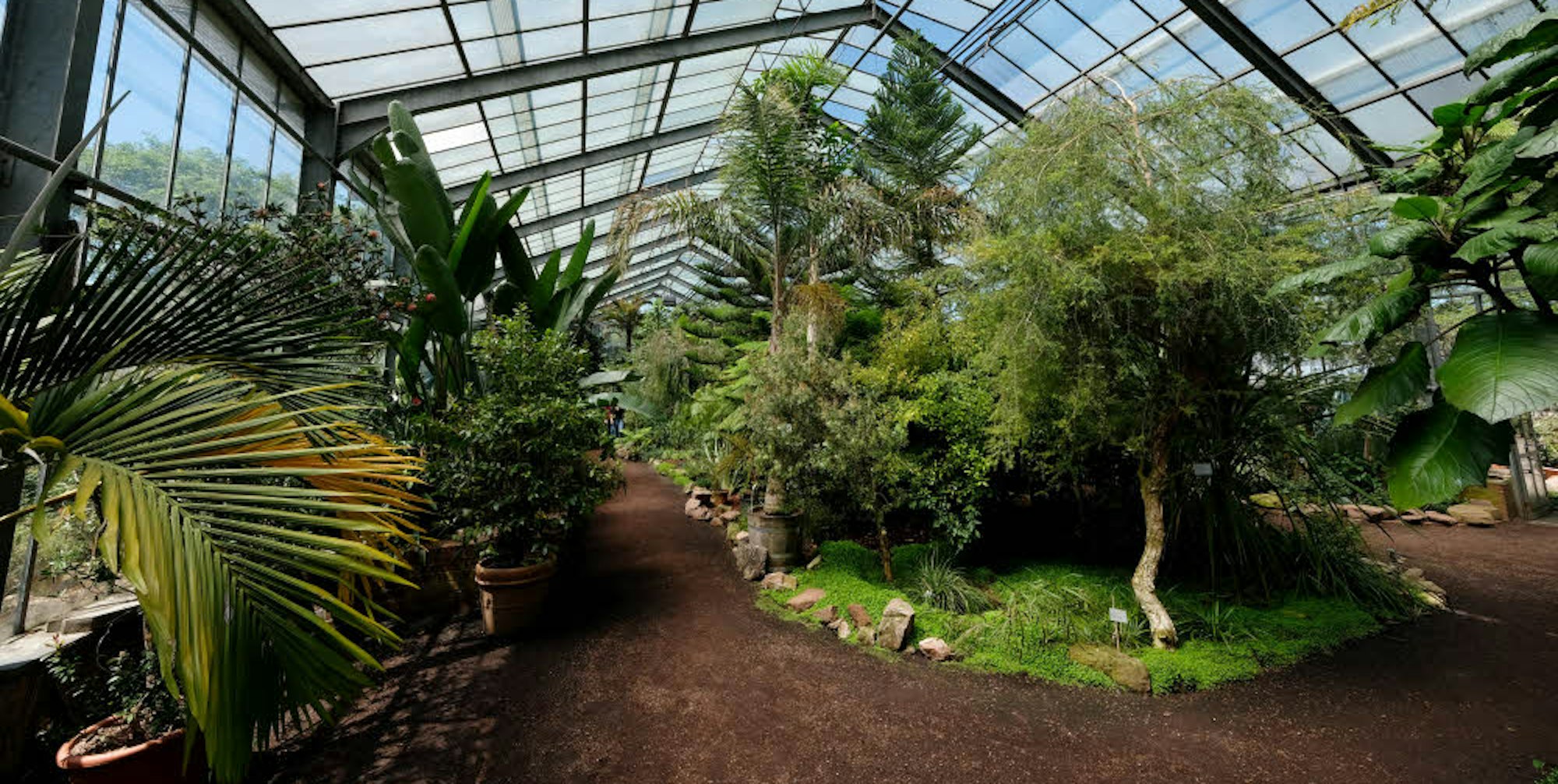 Tausende Besucher sehen sich die suptropischen Pflanzen im Botanischen Garten an.