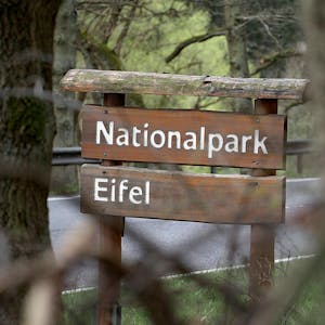 Nationalpark Eifel Schild