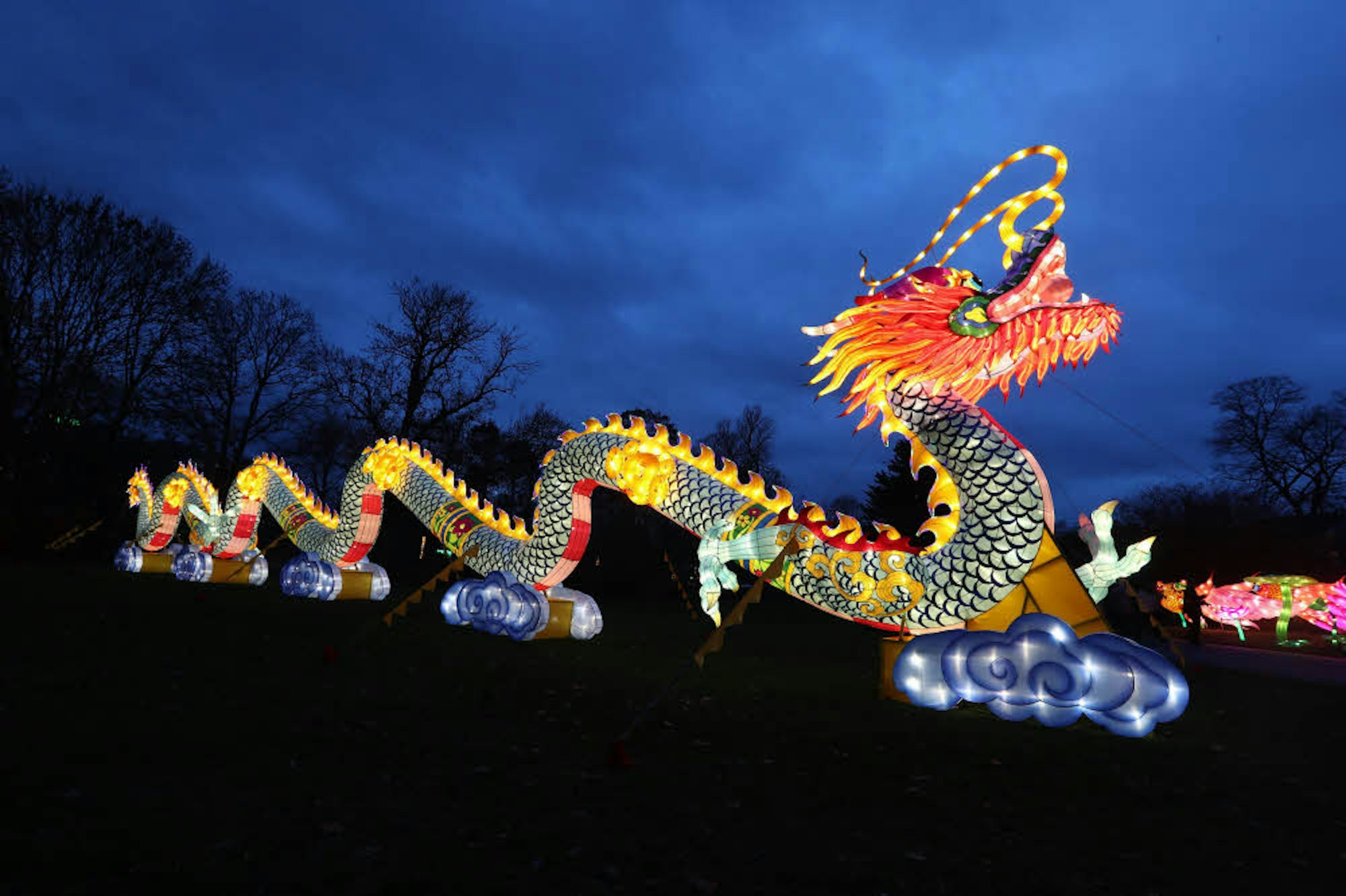 40 Meter lang: der blaue Drache beim China-Light-Festival
