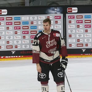 Seit 2013 ein Kölner Hai: Pascal Zerressen.