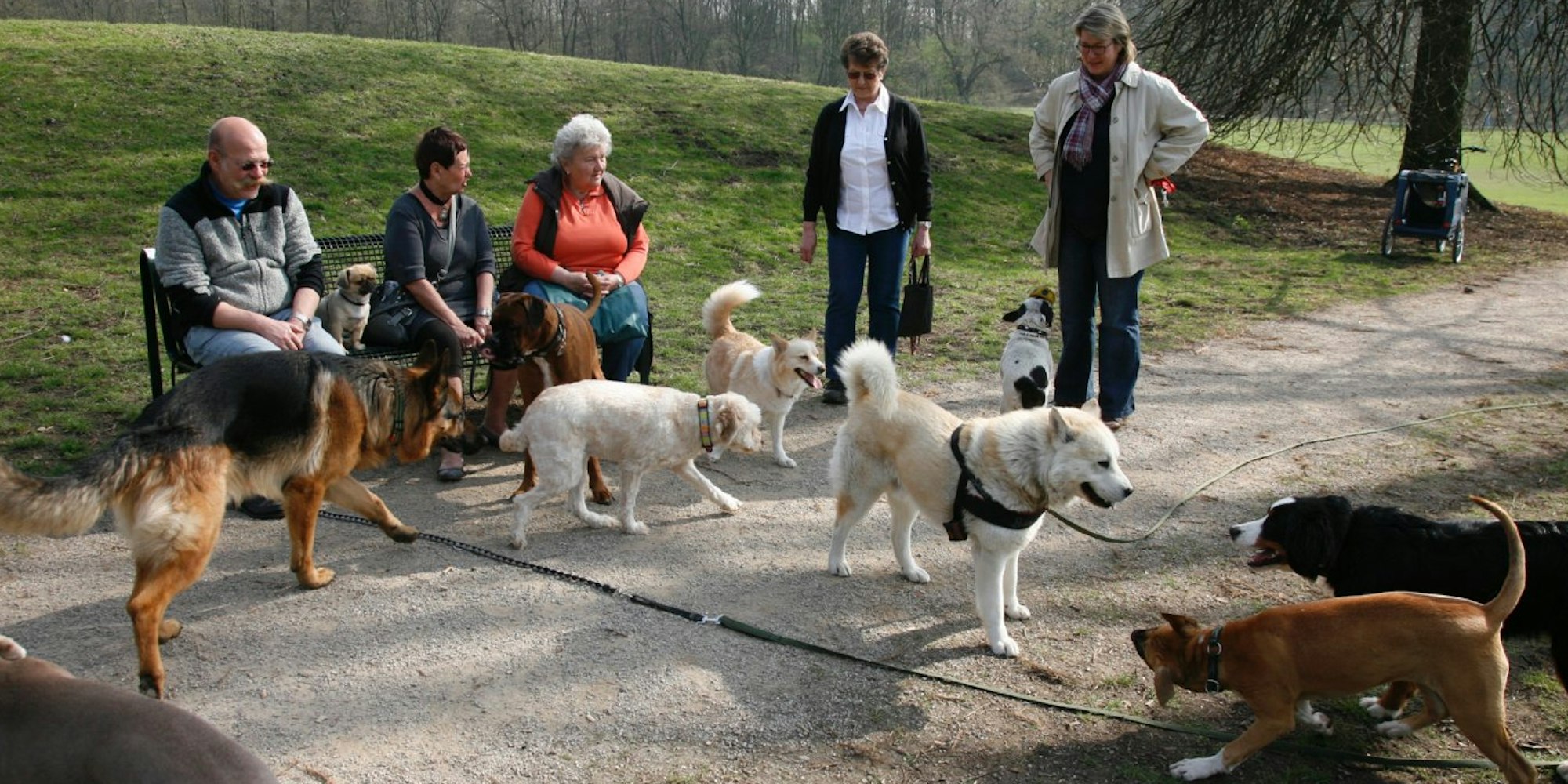 Wie hier im Beethovenpark lassen Hundebesitzer ihre Vierbeiner gerne mal von der Leine. Das kann viel Ärger mit sich bringen.