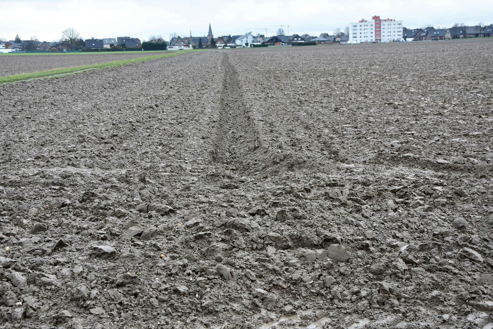 Gute Lössböden sorgen im Rheinland für durchweg hohe Erträge.