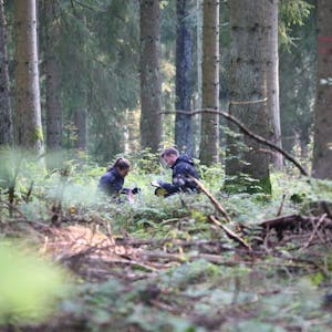 Im Wald des Nationalparks Eifel erfassen die Wissenschaftler zahlreiche Daten.