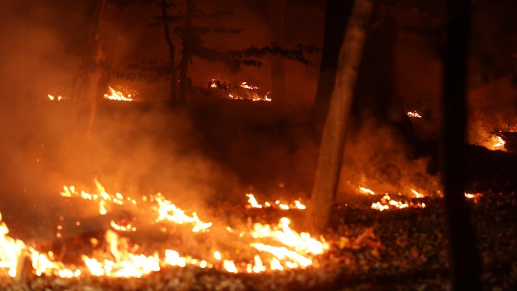 Waldbrand Flammen