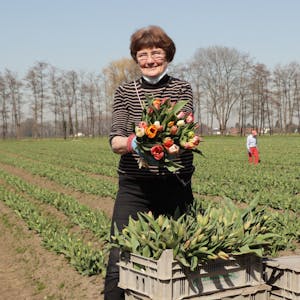 Seit Jahrzehnten erfreut sich Landwirtin Marie-Sofie Winkelhag an den bunt blühenden Tulpen.