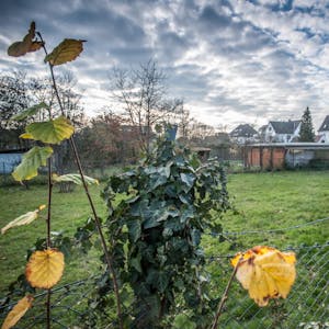 Auch das Gartengelände in der Siedlung Neuenhof in Küppersteg steht auf der Liste der Kita-Bauprojekte.