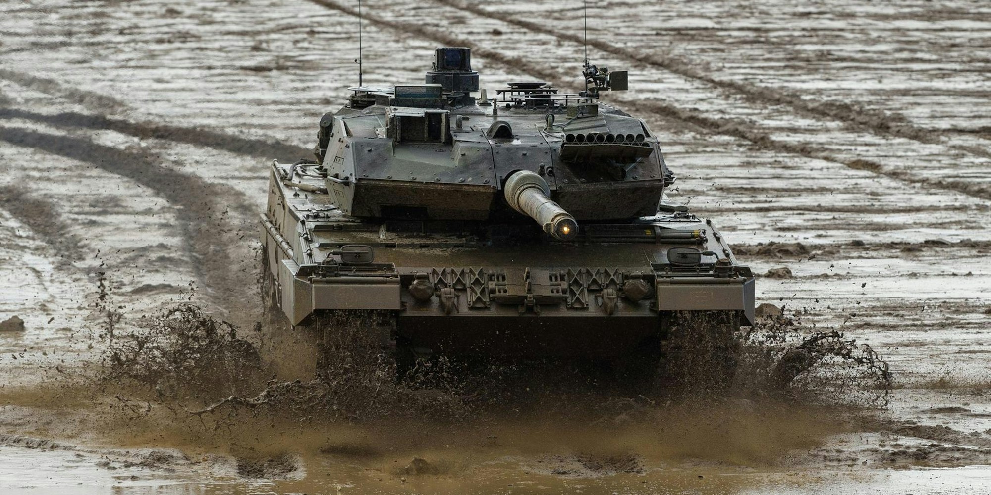 Leopard Panzer 070222