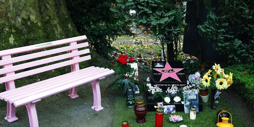 So bunt wie sein Leben, so knallig ist auch die rosa Parkbank am Grab von Dirk Bach. Darauf steht: „Audienz beim Mäusekönig“.