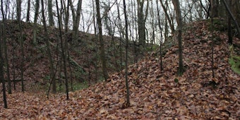 Parallel verlaufende Erdwälle im Wald sind die Überreste des Dünnwalder Schießplatzes.