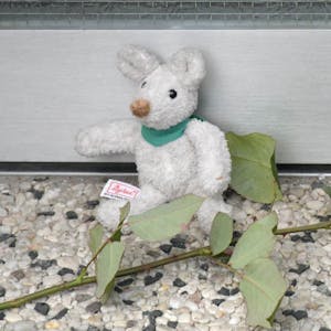 Zeichen der Trauer: Anwohner oder Freunde des Opfers haben eine Rose und ein Stofftier vor der Haustür abgelegt.